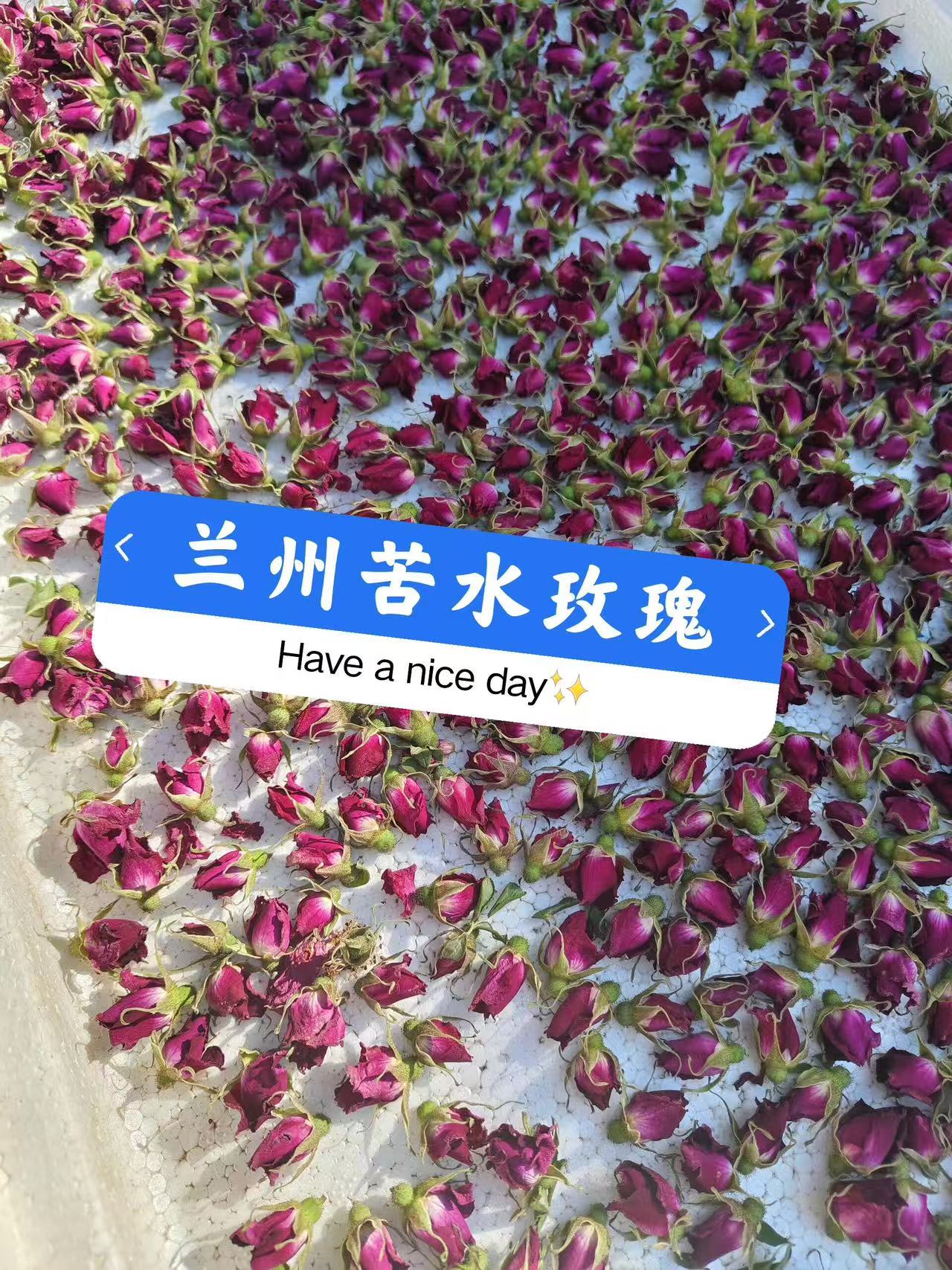 兰州苦水玫瑰，农家种植自然晾晒，不熏硫