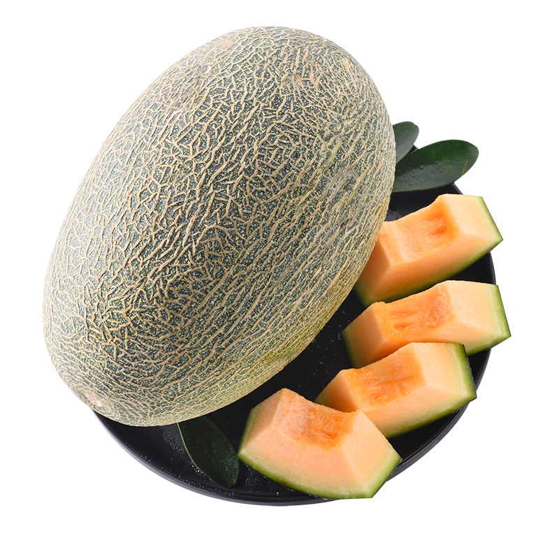 山东哈密瓜西州蜜瓜25号 现摘头茬新鲜当季水果