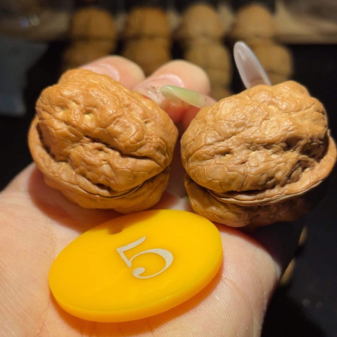 肌肉娃32尺寸核桃