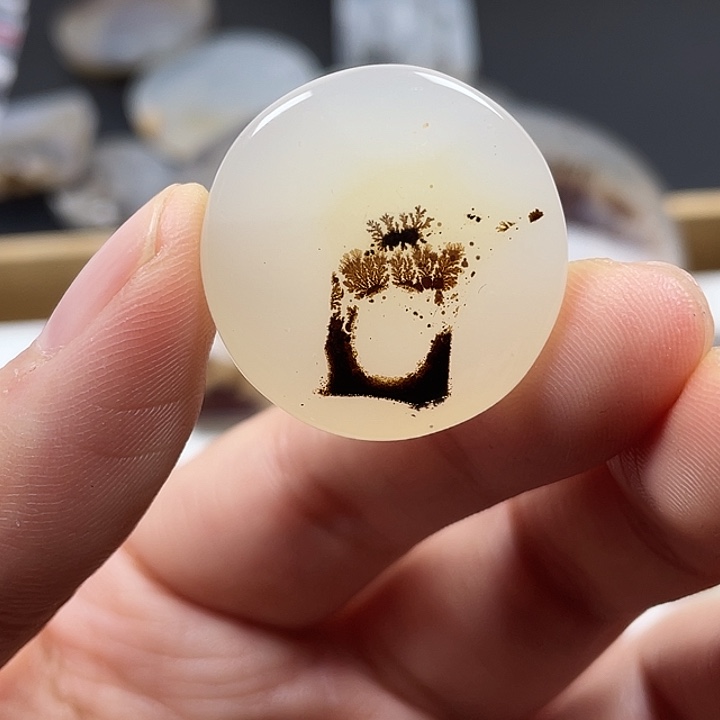 玛瑙/玉髓未镶嵌颈饰