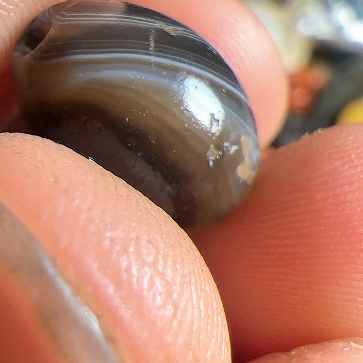 香榧木小****8我们的生活