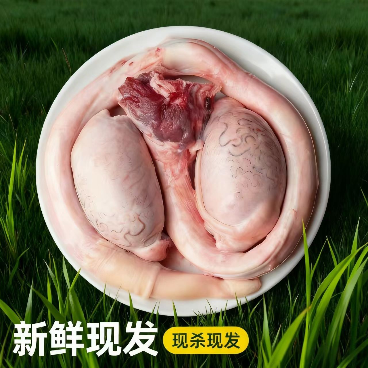【私密发货】牛鞭整根牛蛋牛三宝煲汤材料养生 固形物含量100