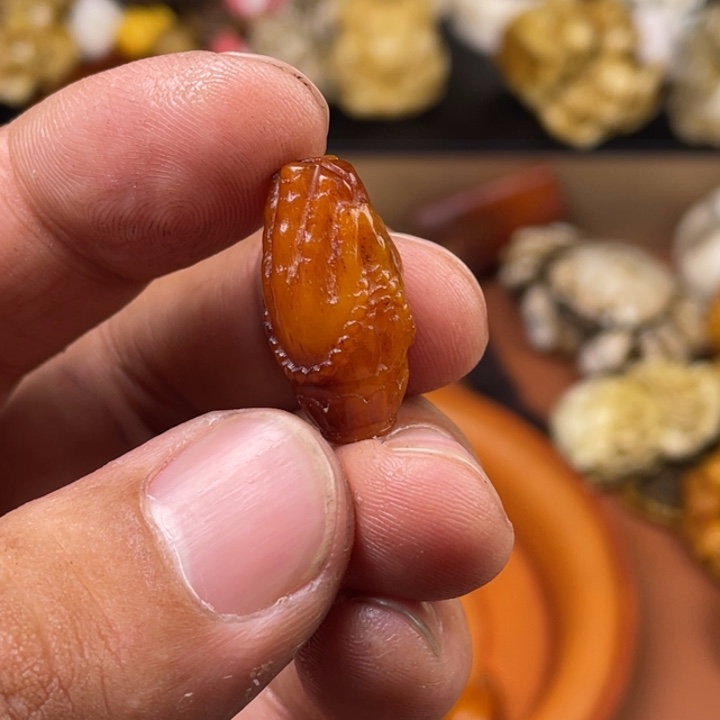 驼骨摆件人工养殖