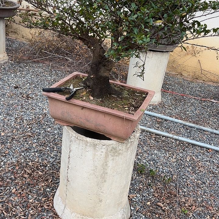 坐***价无花朵哈哈哈哈哈哈