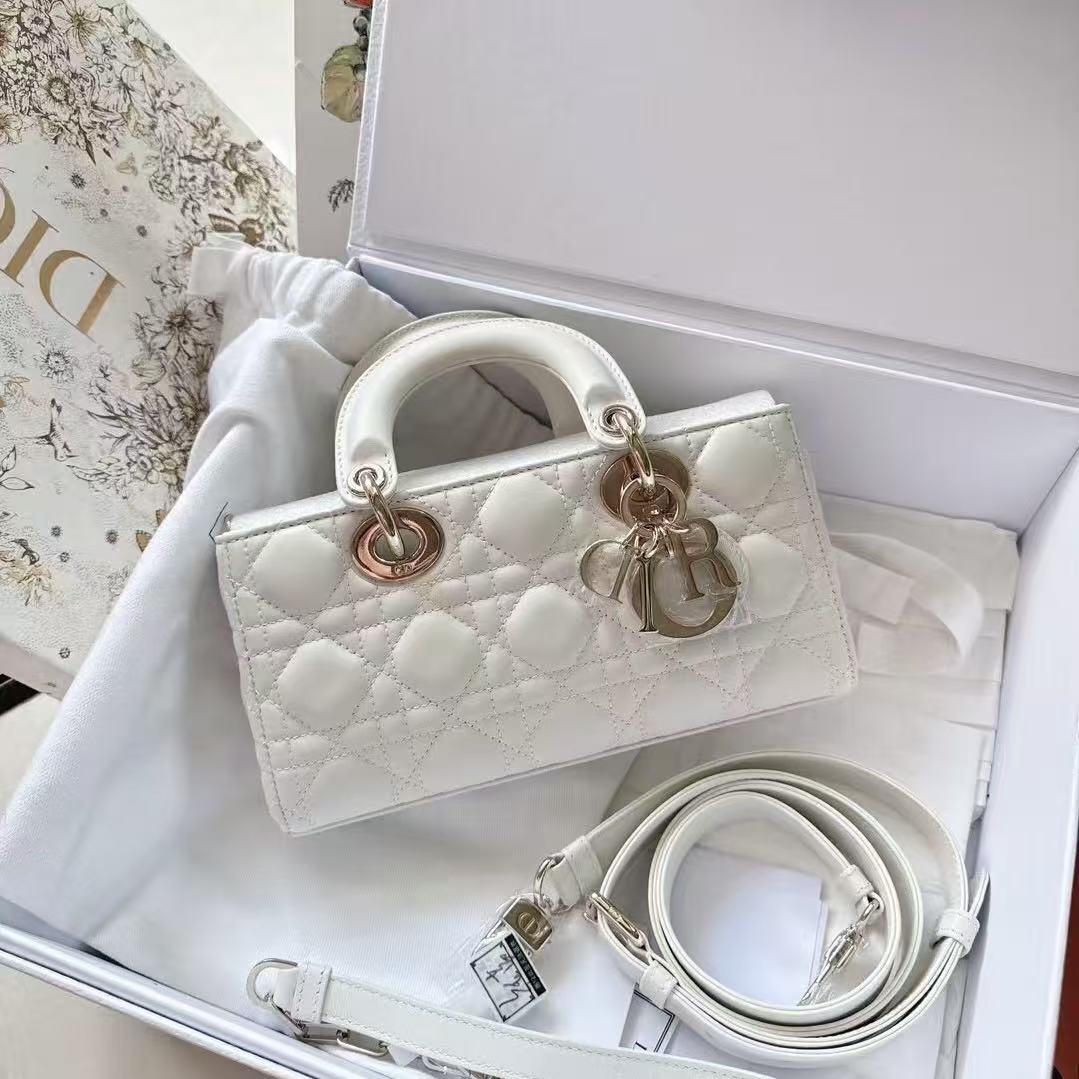 未使用 DIOR/迪奥  壹所 横版戴妃 小号 白金 闲置 临时