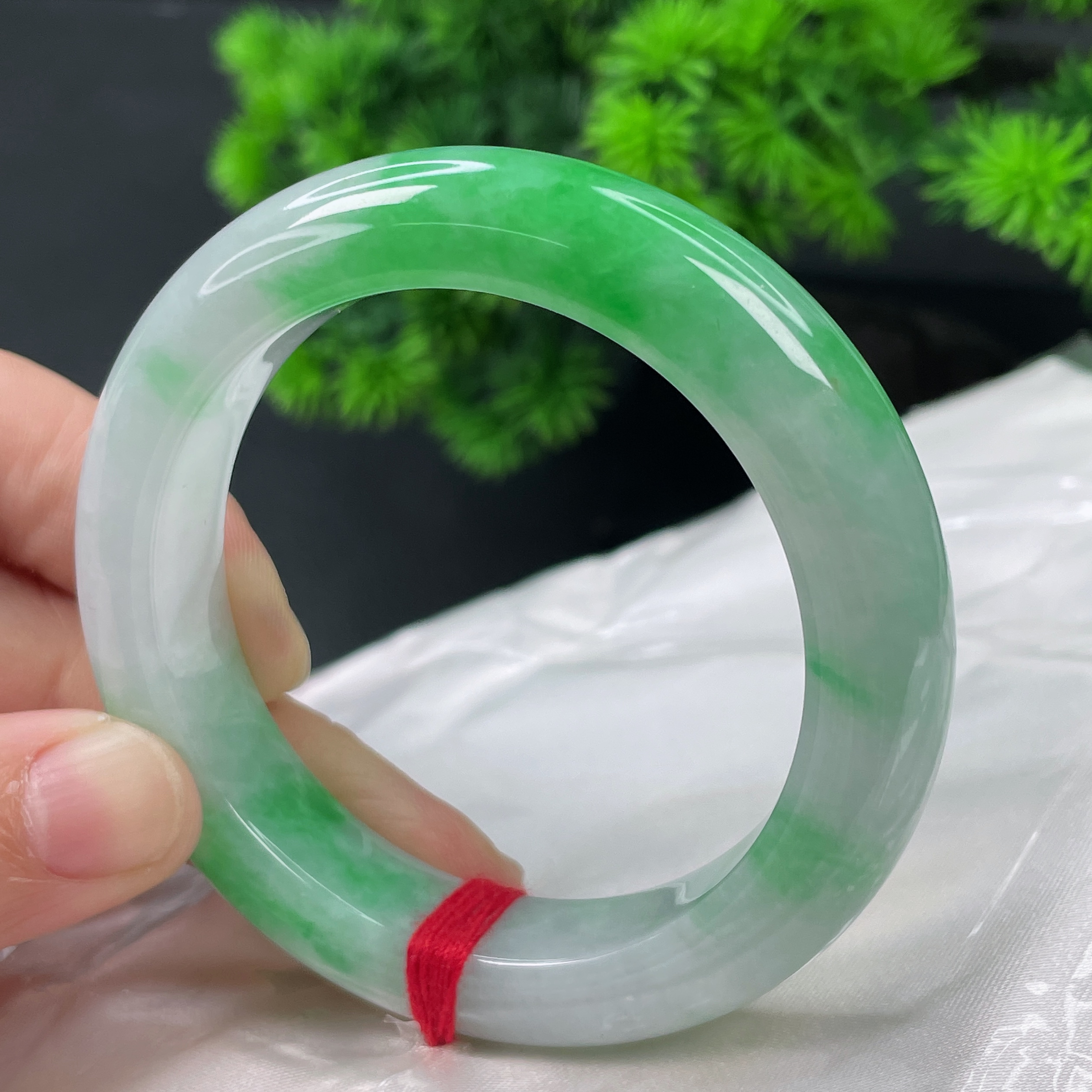 0419缅甸天然翡翠A货53圈白底青飘阳绿手镯时尚百搭少女妈妈款