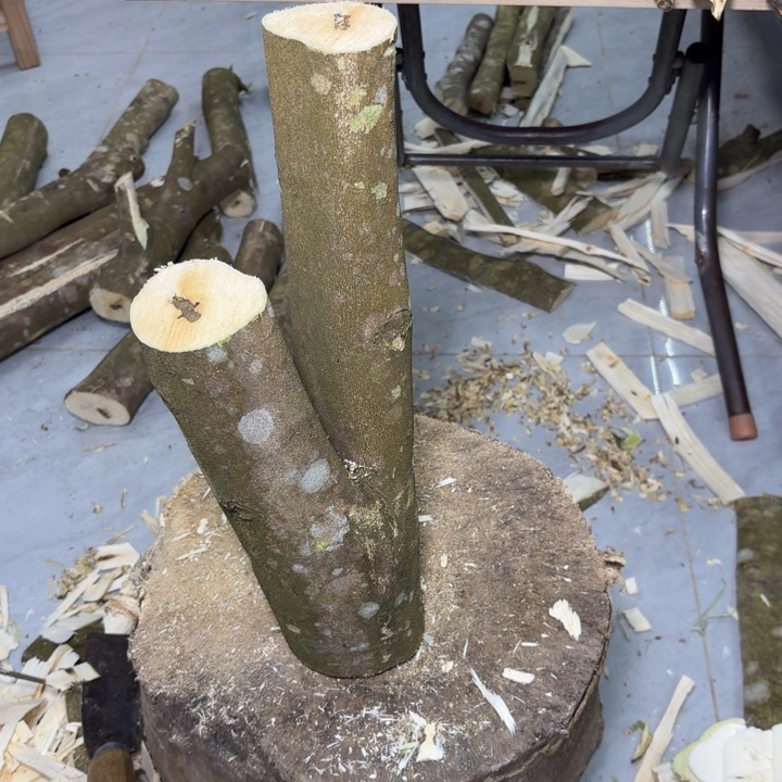 今***天木陆河原木发一份