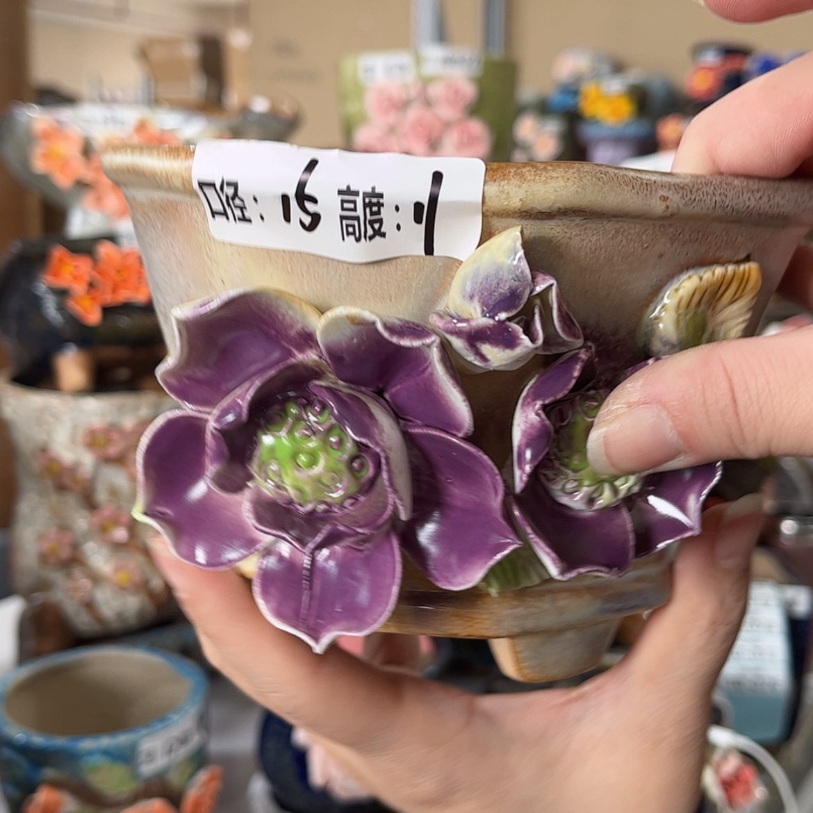 【闪购商品】红陶福利