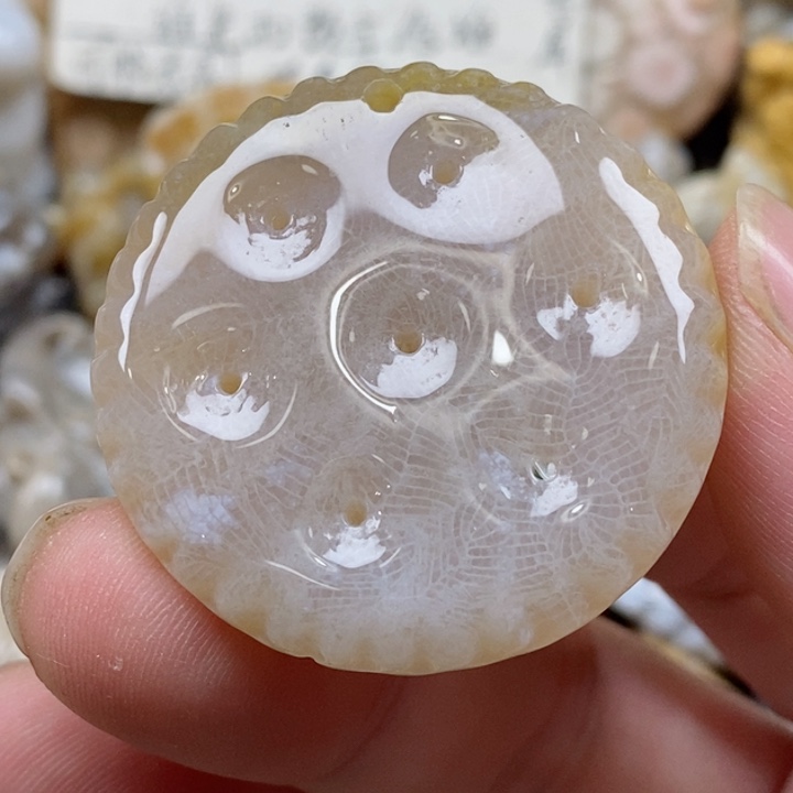 颈饰未镶嵌硅化珊瑚（珊瑚玉）