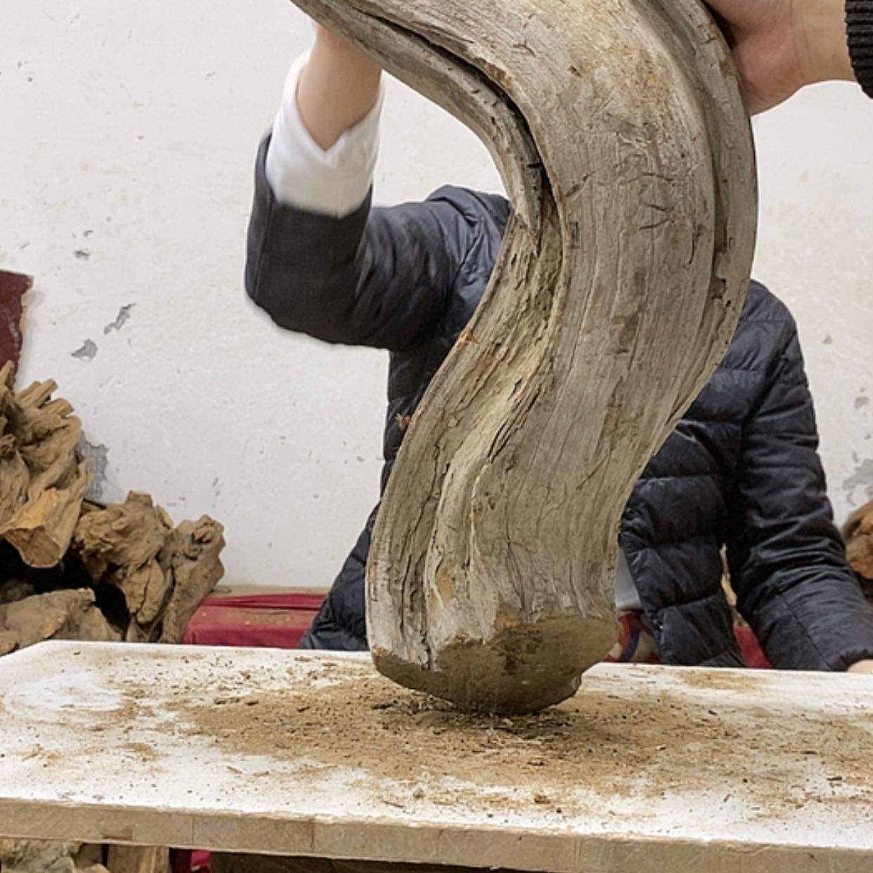 【闪购商品】柏木圆*我们都是好孩子