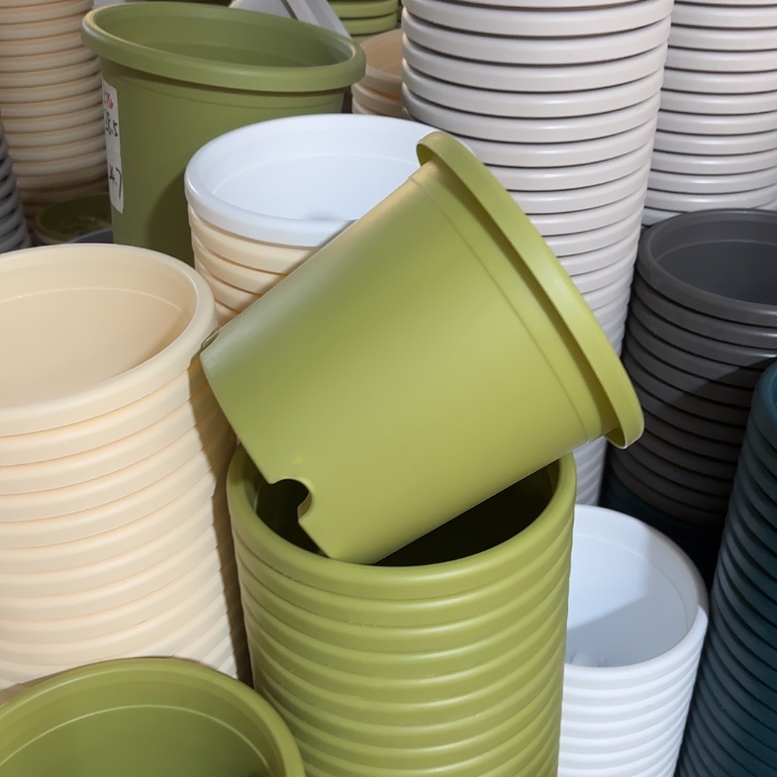 微瑕4号6个无托，果绿