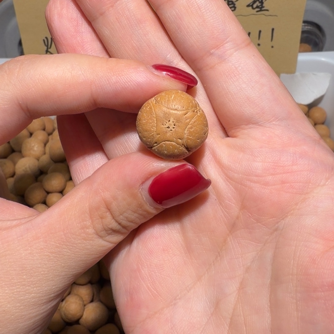 彭***也吊坠龙眼菩提彭也