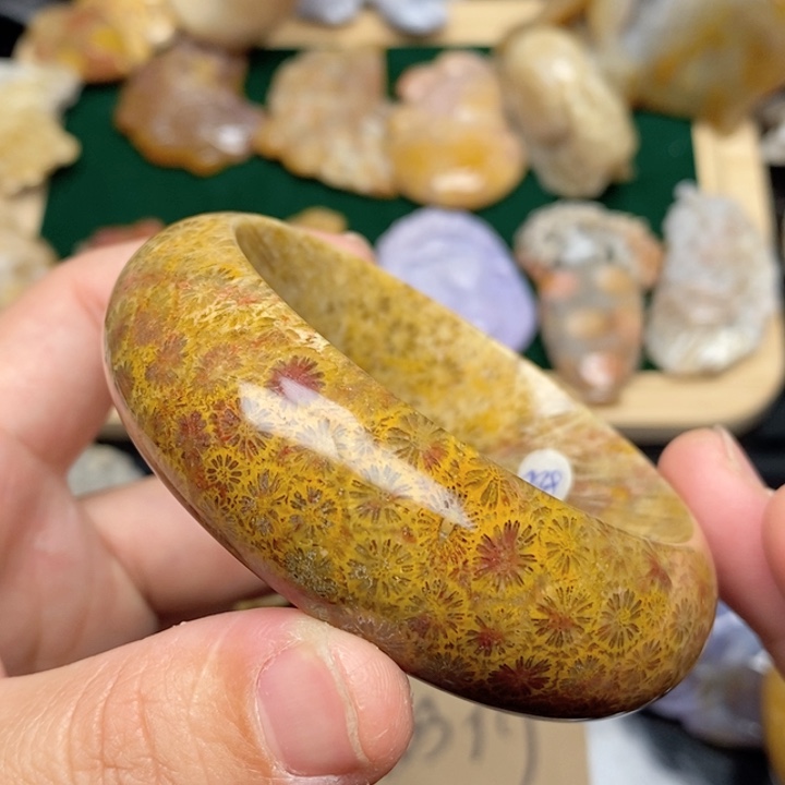 硅化珊瑚（珊瑚玉）手镯未镶嵌56,6