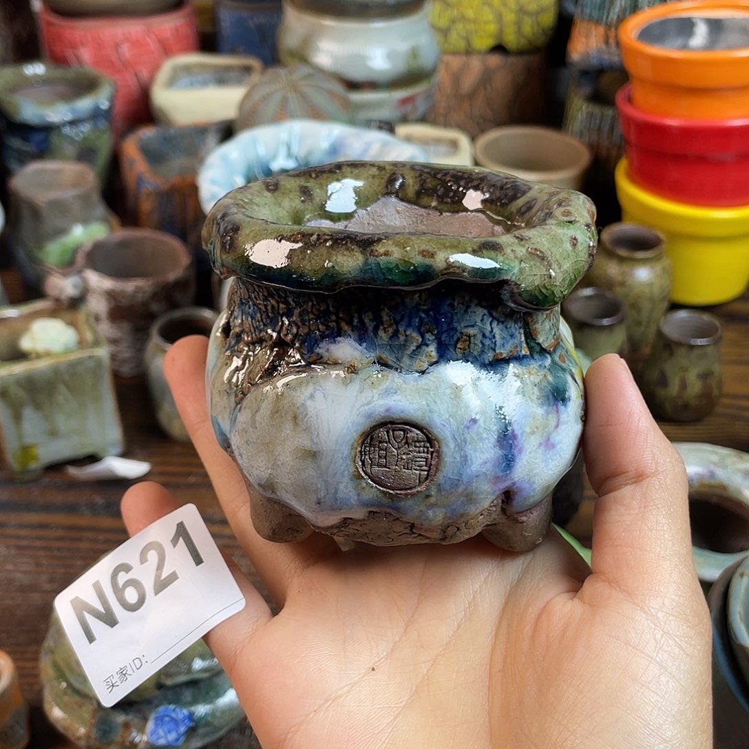 坛子姐花盆 双十二限时福利！默认微次！