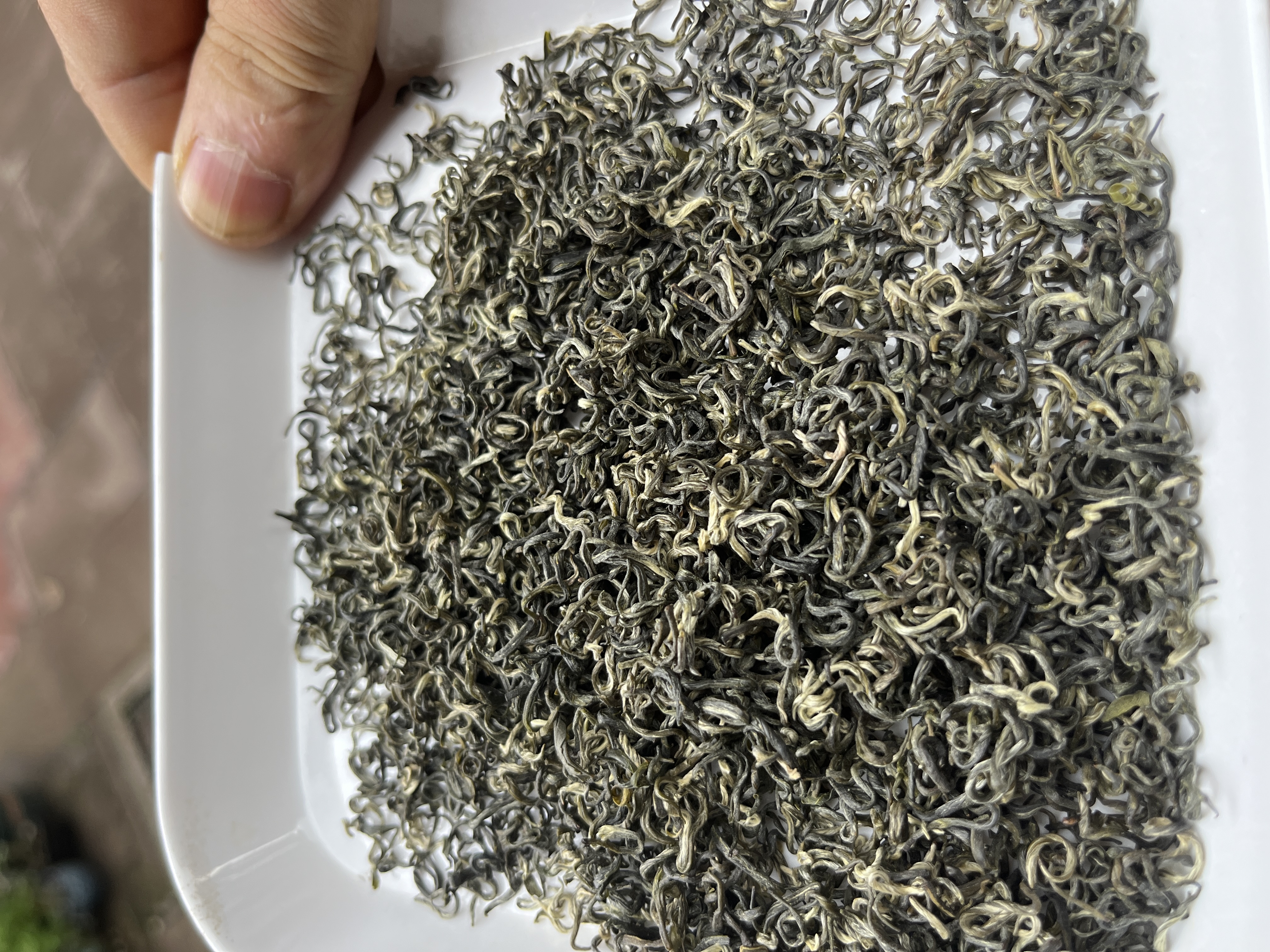 四川2025细芽毛峰绿茶