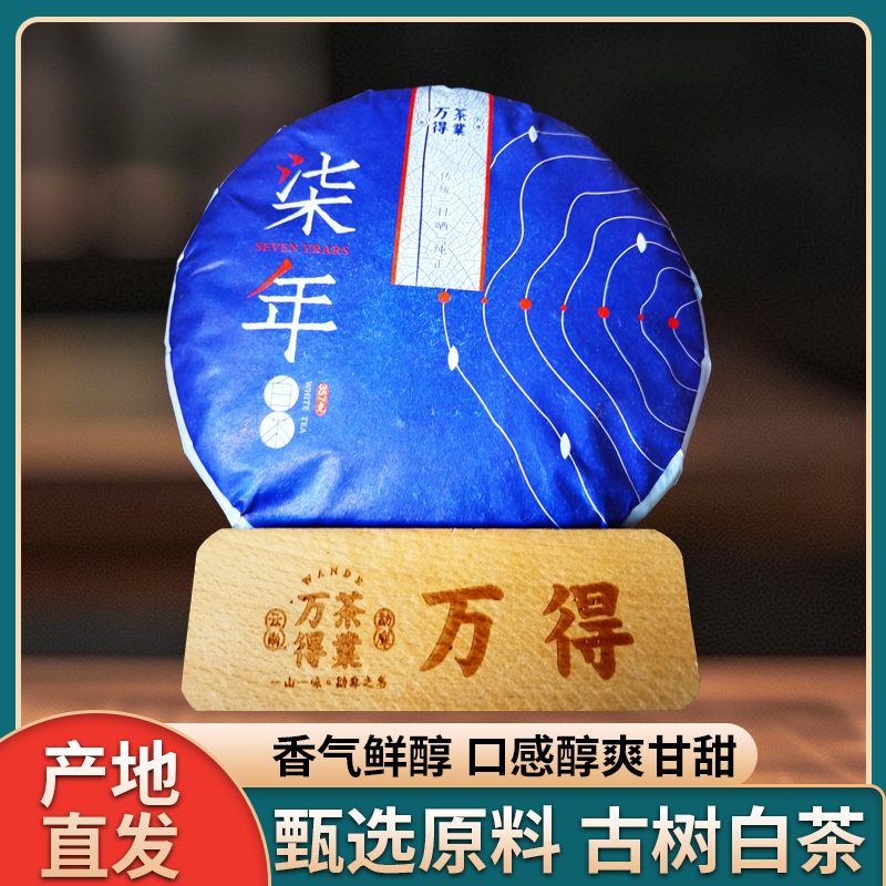 古树白茶汤色纯正