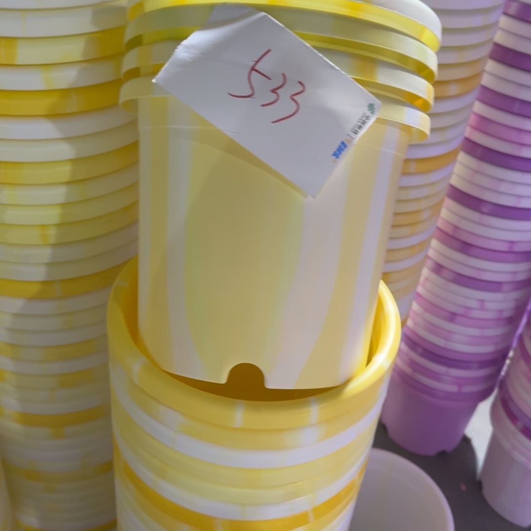 编号533-6个口径25串色