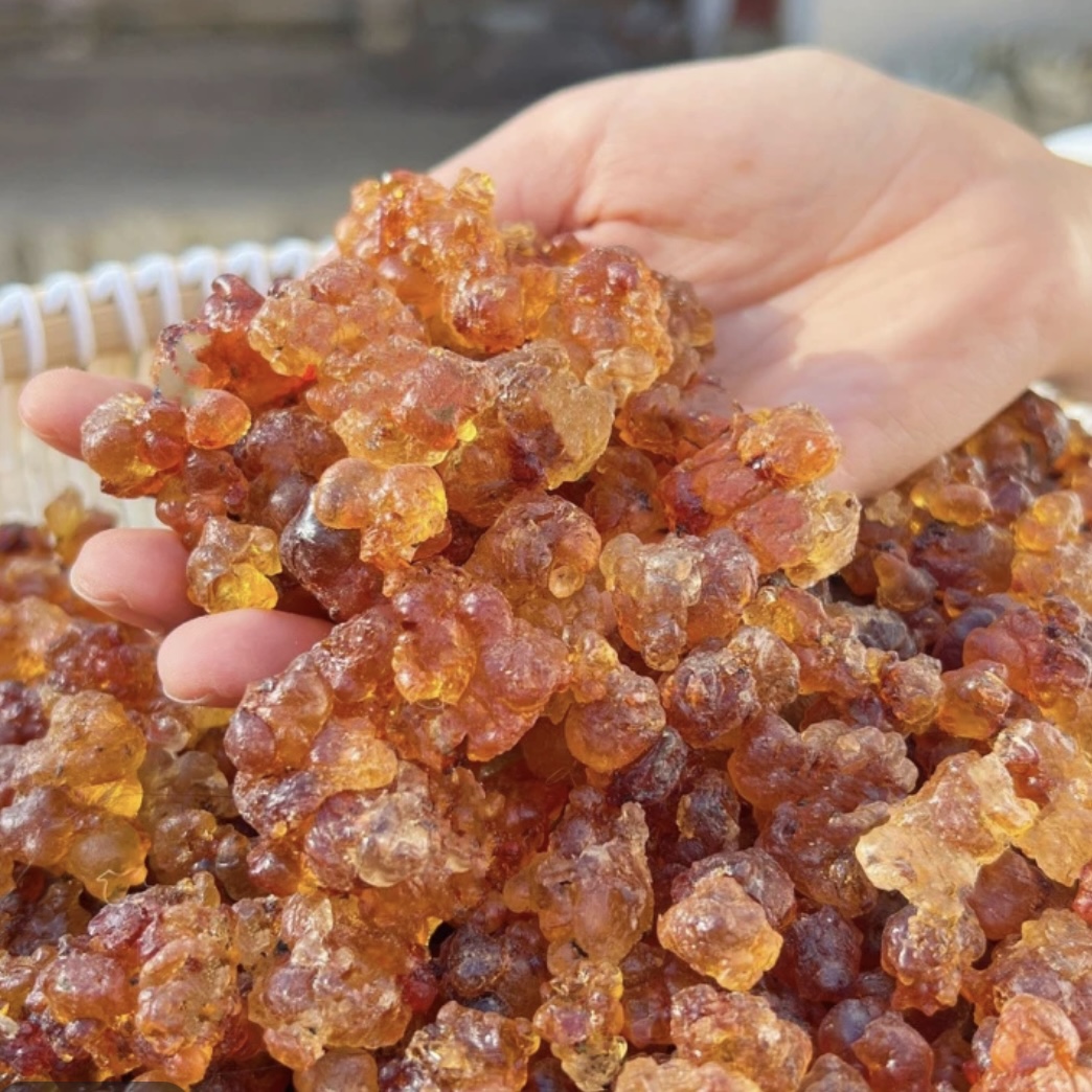 珍珠桃胶【虾干福利】