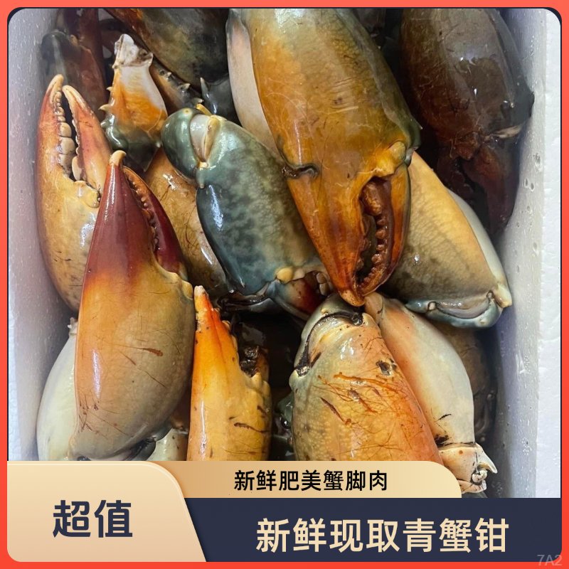 新鲜青蟹腿特大蟹钳鳌大肉多海鲜水产活蟹冷冻青蟹脚野生现掰蟹肉