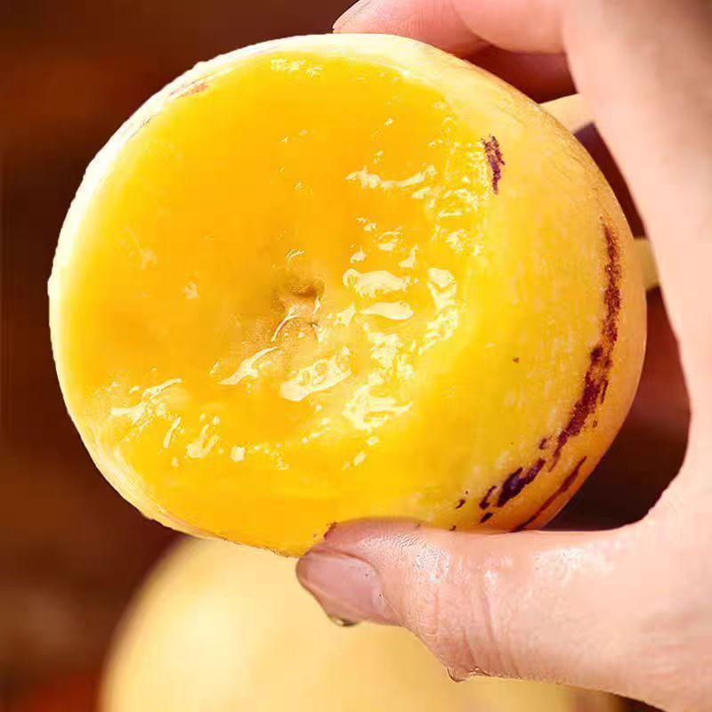 【京东顺丰包邮】云南石林小果人参果当季水果树上熟小果香甜多汁净重4斤装山东省