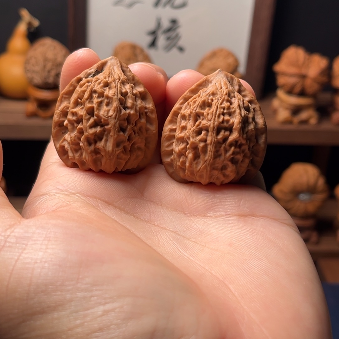 核桃35mm全品金牛