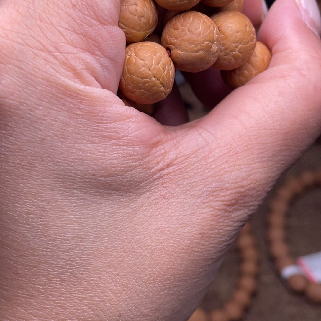 凤眼菩提手串菩提610