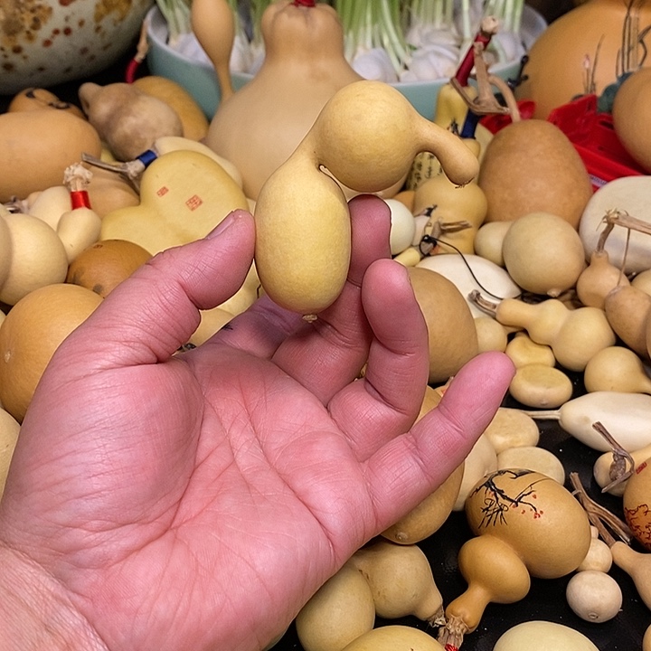 风*者精品葫芦手把葫芦20