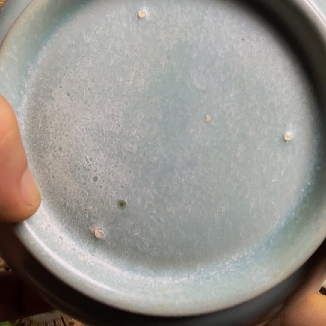 茶盏斤斤计较都无所谓啦笑的很想你