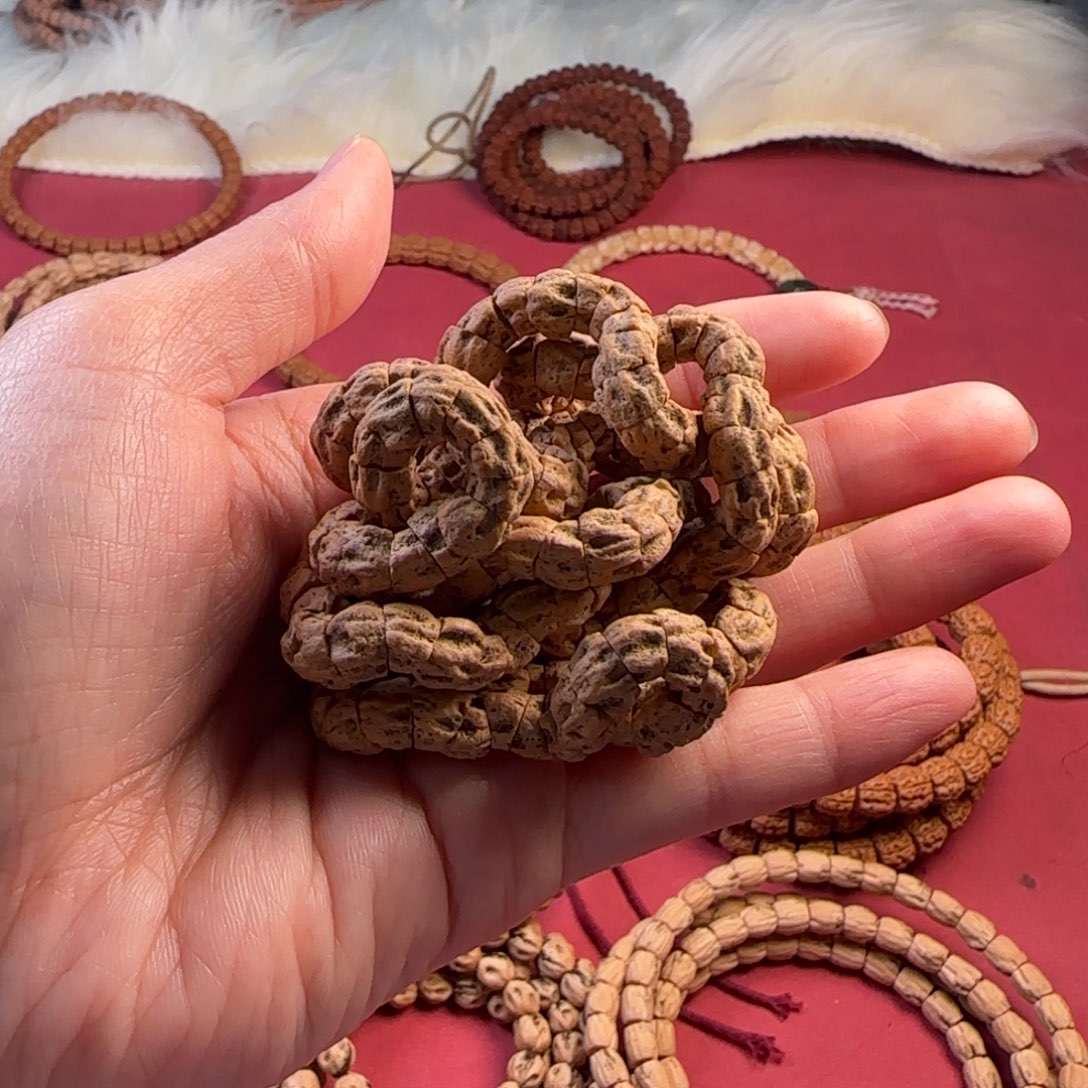 柏香籽/百香籽吊坠多棱鬼大肠