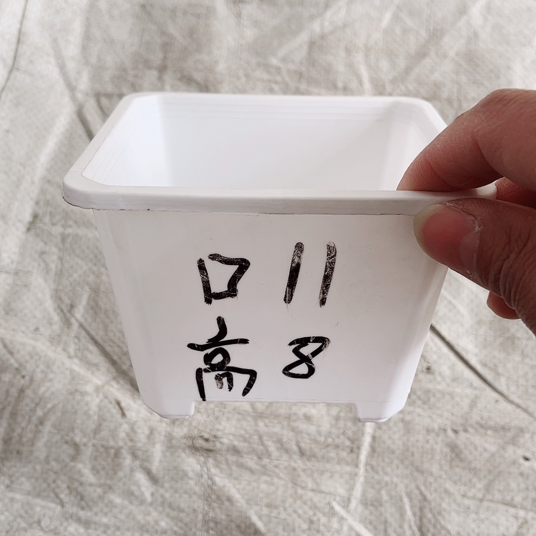 塑料福利款11方白色盆20个无托