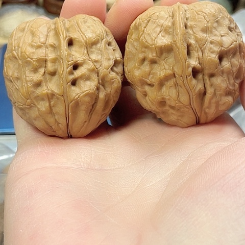 文玩核桃把件木鱼金砖带彩40