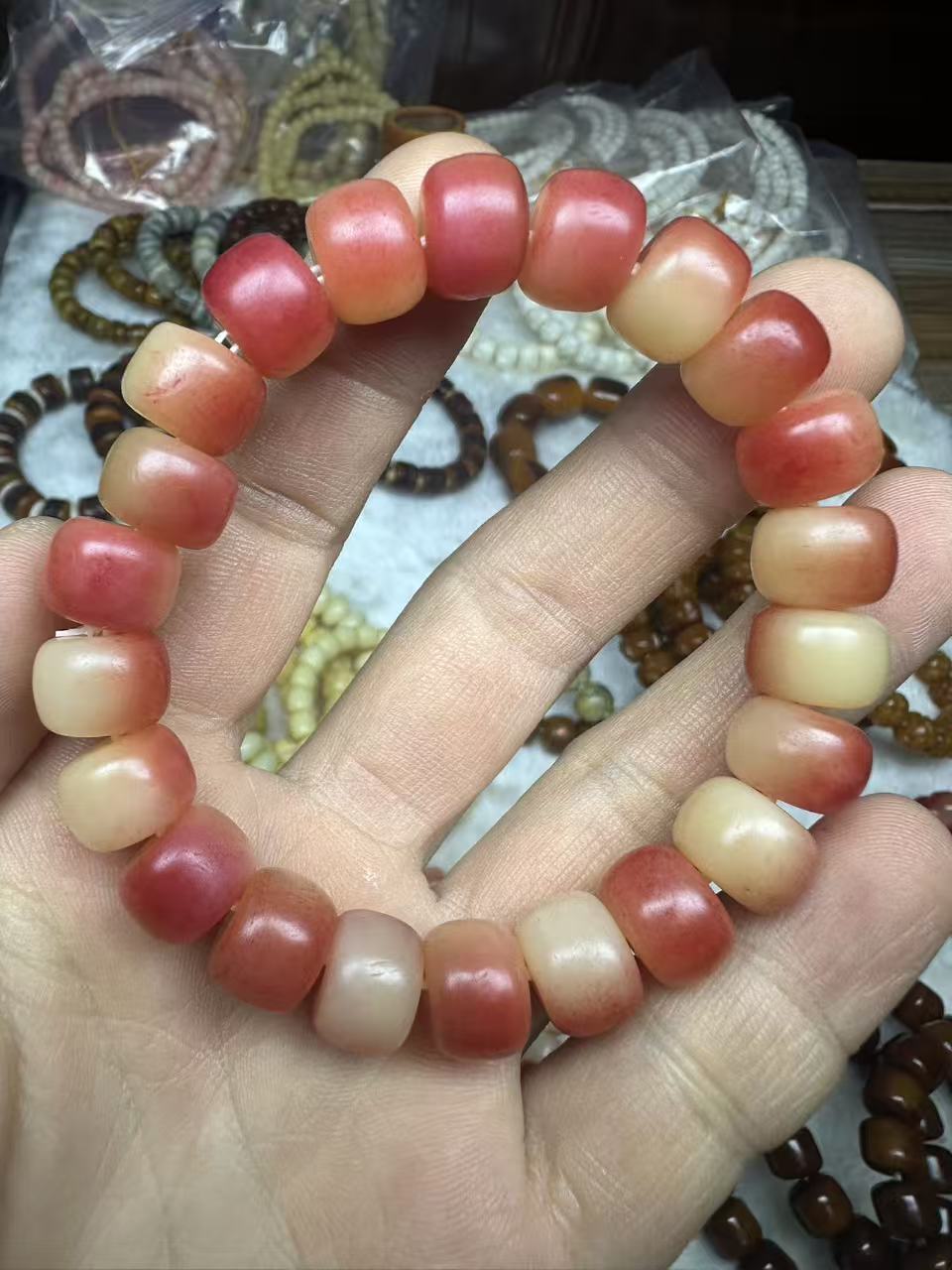 驼骨浸血料1.2精工