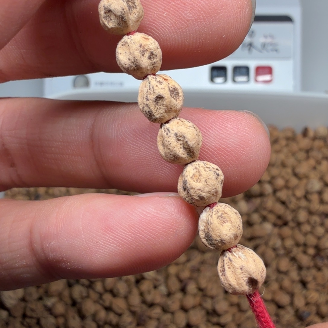 柏香籽/百香籽吊坠