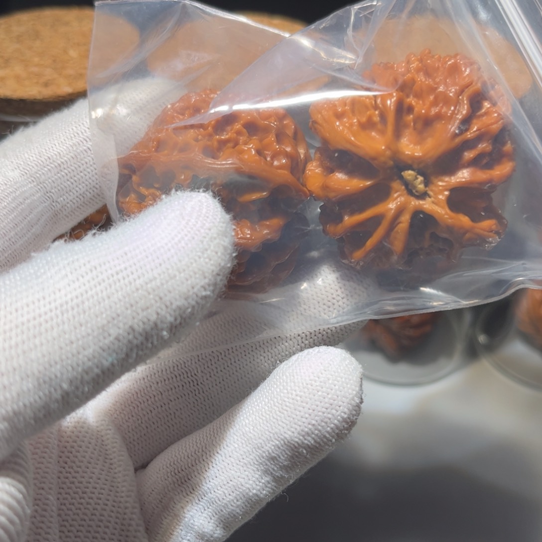 桃核把件狮子头核桃