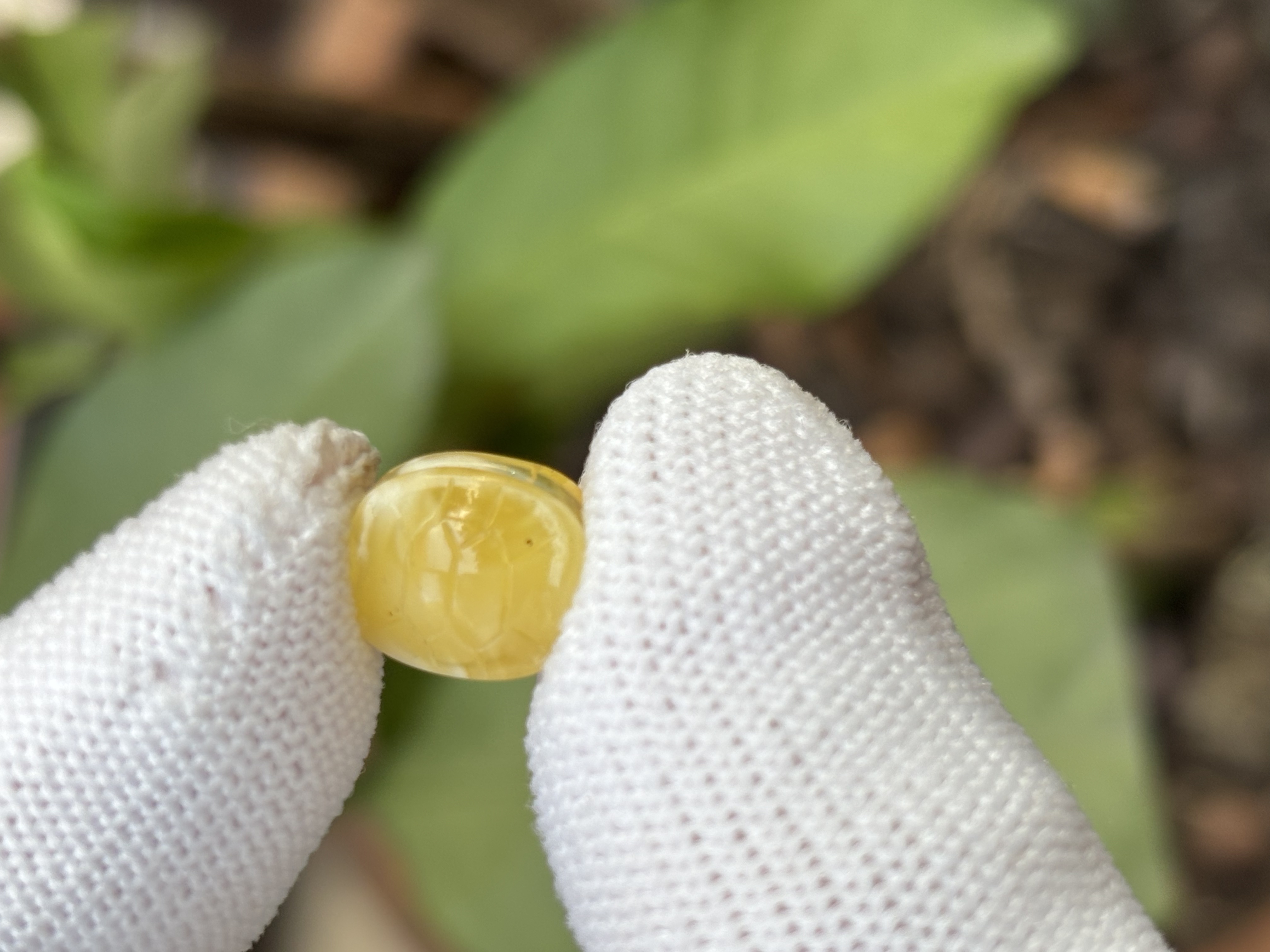 4394天然蜜蜡琥珀富甲配饰9.5x11.1x6.2mm