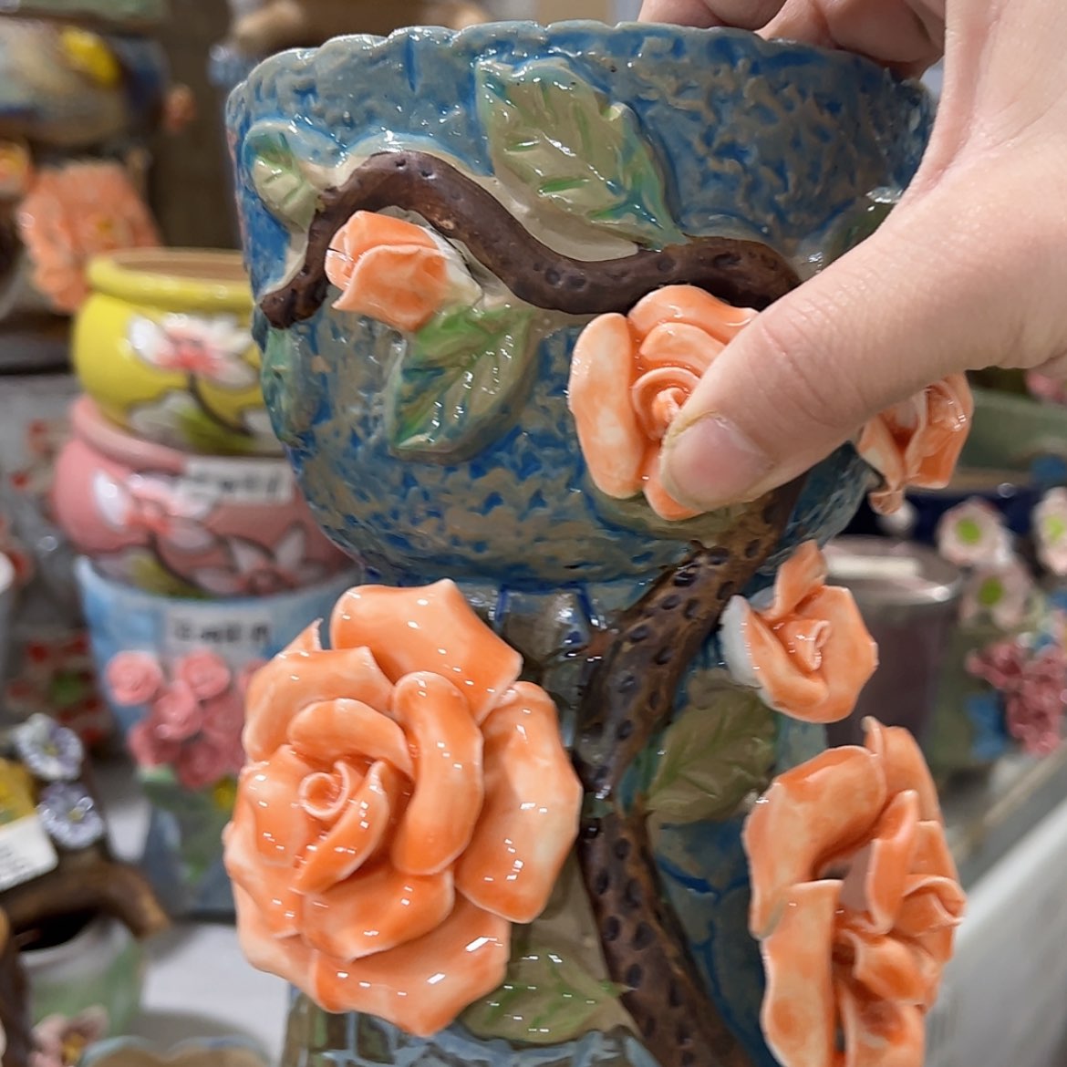 【闪购商品】红陶福利