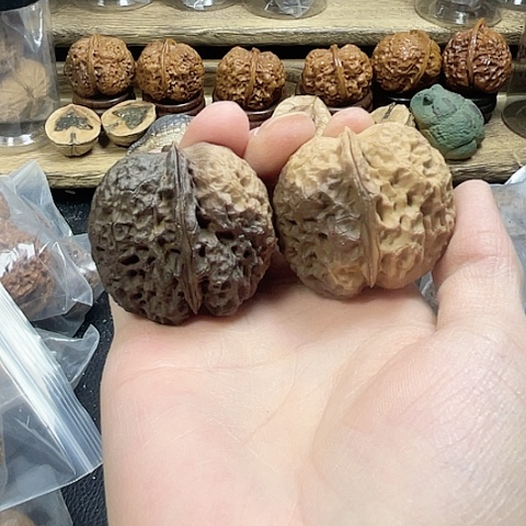 文玩核桃把件铁狮蟾带彩44