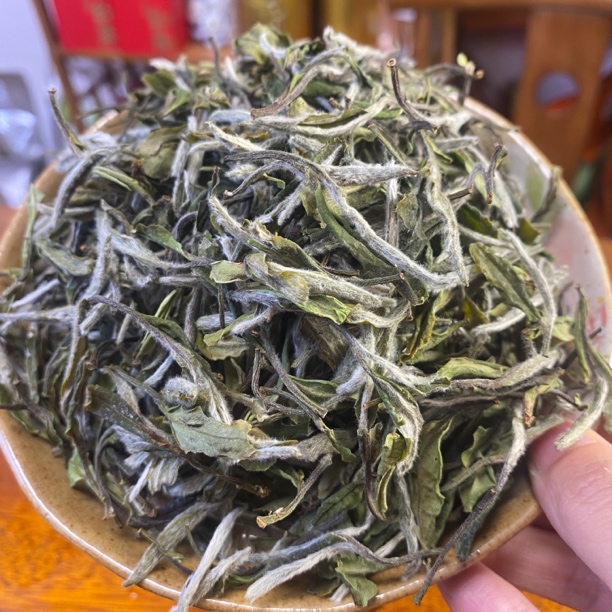 正宗纯日嗮 2025年散茶花香牡丹