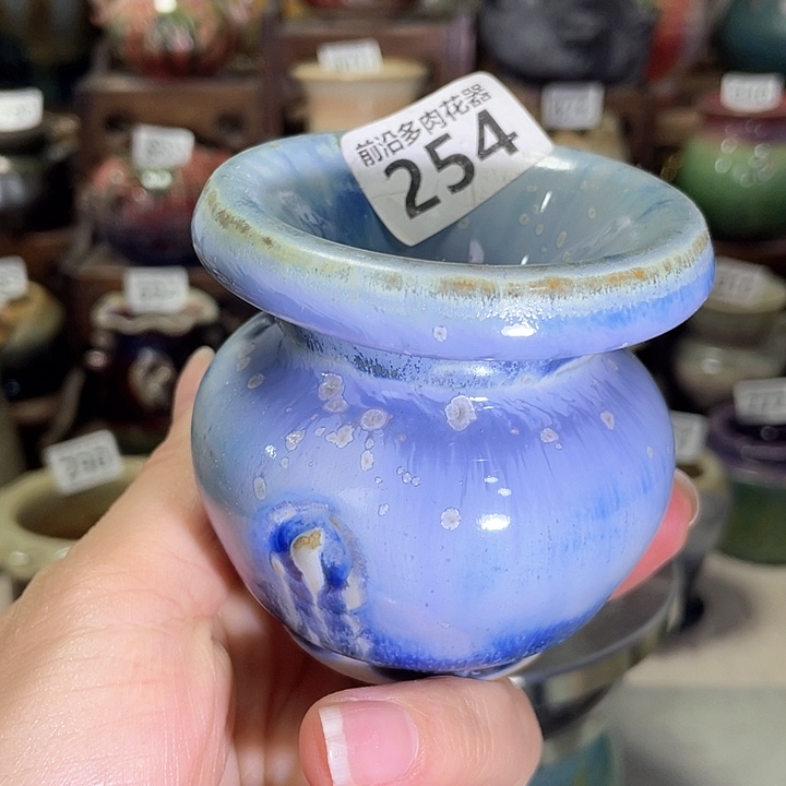 红陶内口径5高度7