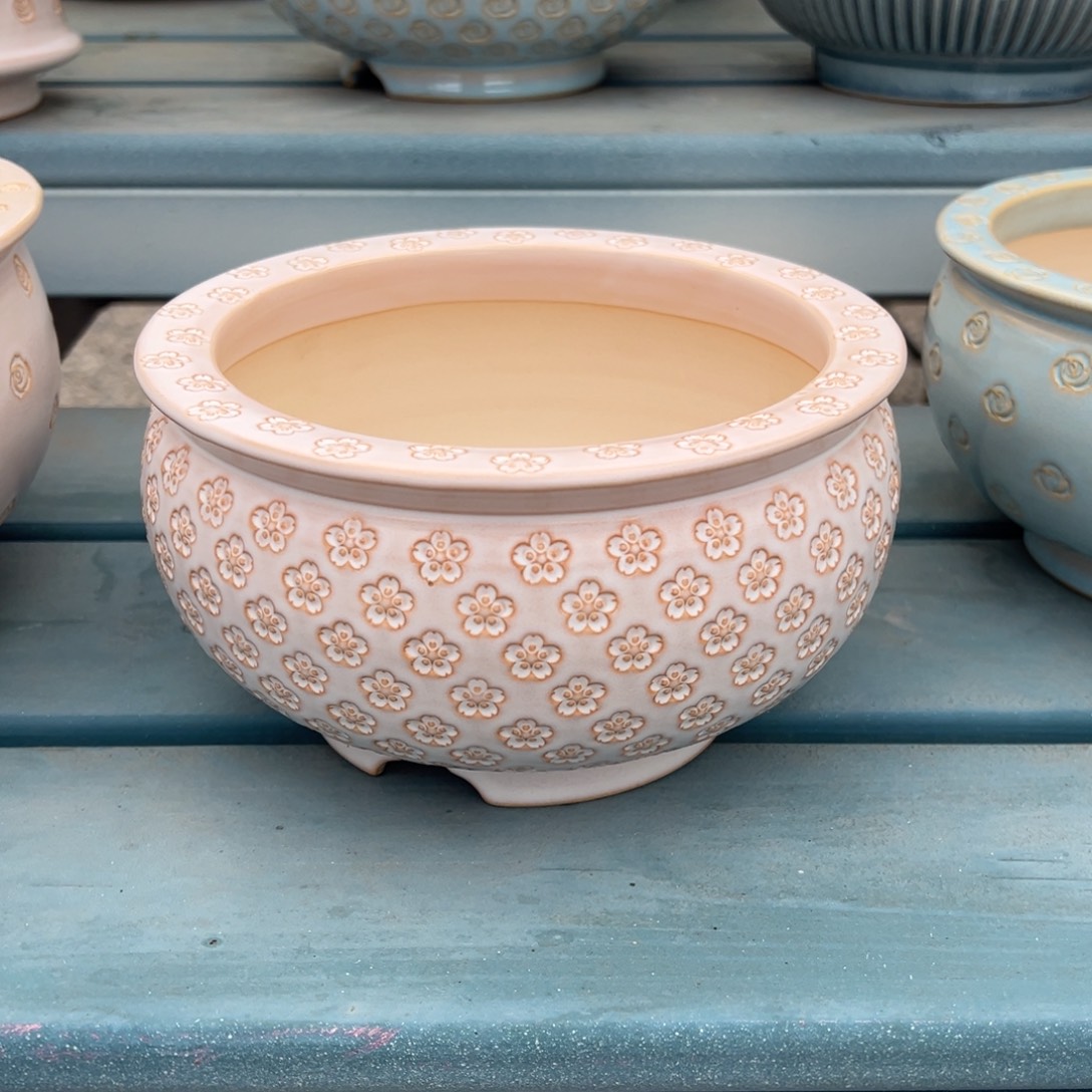 吃****大盆1005-001顶冠外口18E