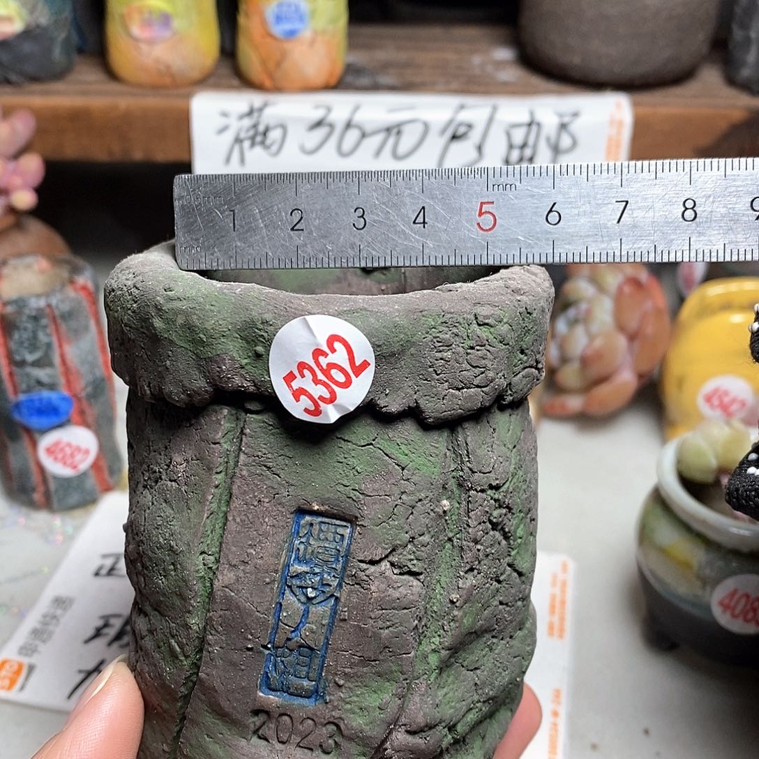 红陶拍5送一个小