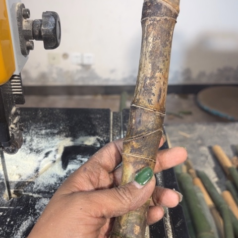 竹五***鼠实心竹竹竹竹竹竹竹竹竹