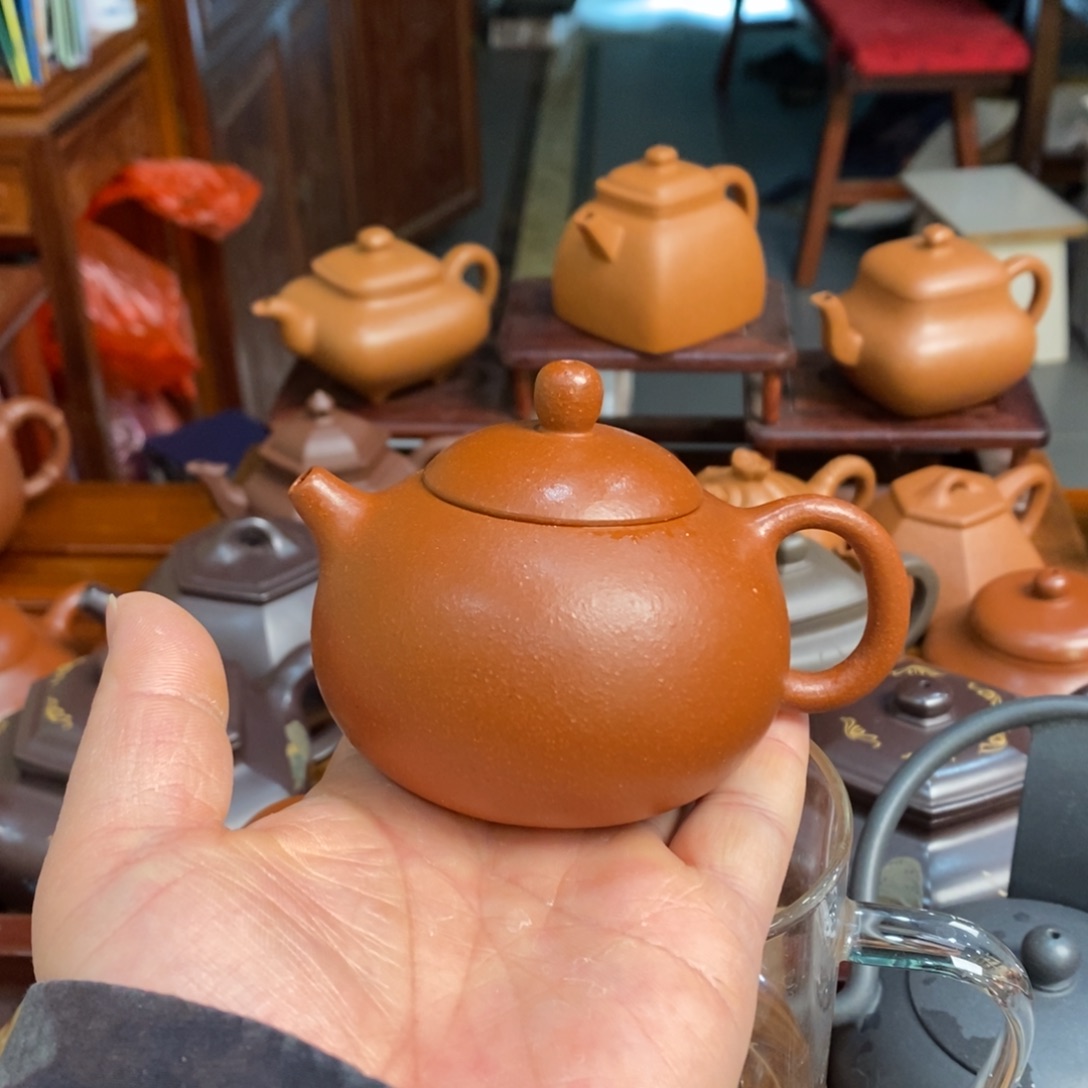 茶壶紫砂紫砂壶老清水逗扣西施