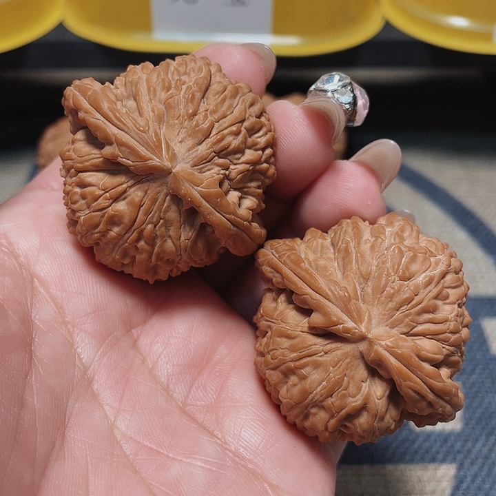 文玩核桃把件博****）白狮子43