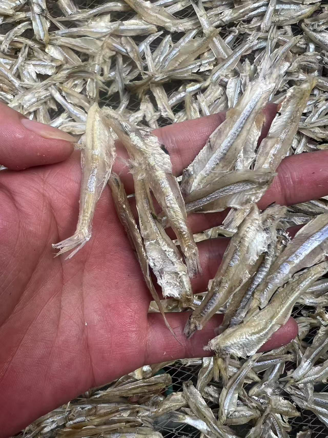 湛江特产无头海燕鱼干白凡鱼海鲜干货鲜香微甜小鱼仔