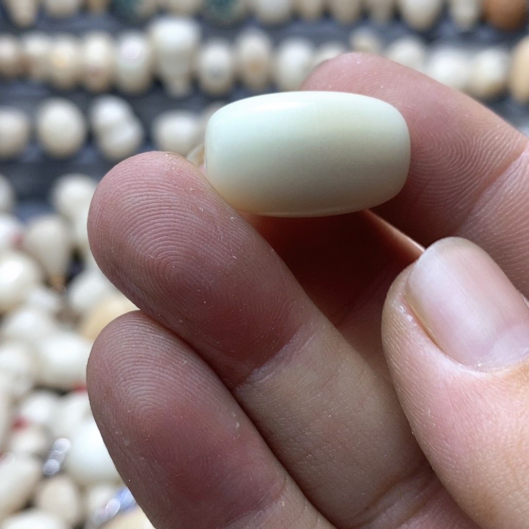 小***赵吊坠菩提根/象牙果