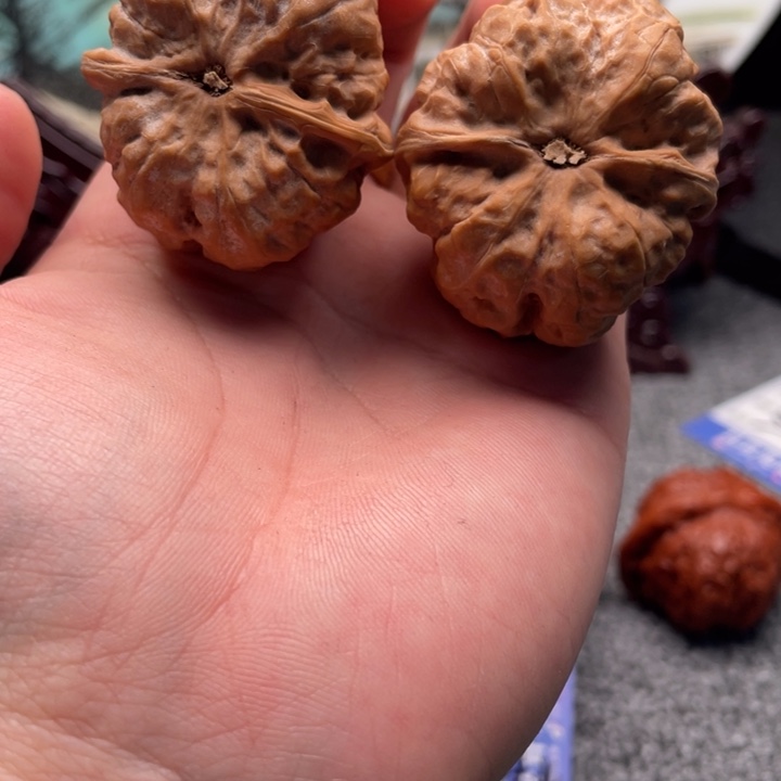 妥***的核桃蛤蟆头C17文玩