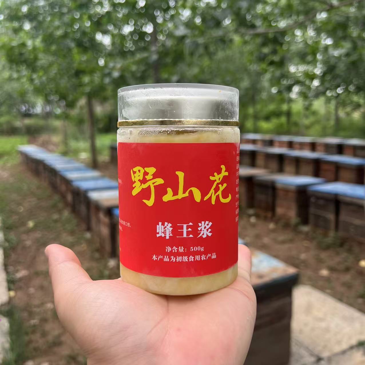 超值装（拍8送2） 野山花蜂王浆 高活性营养 天然滋补好物