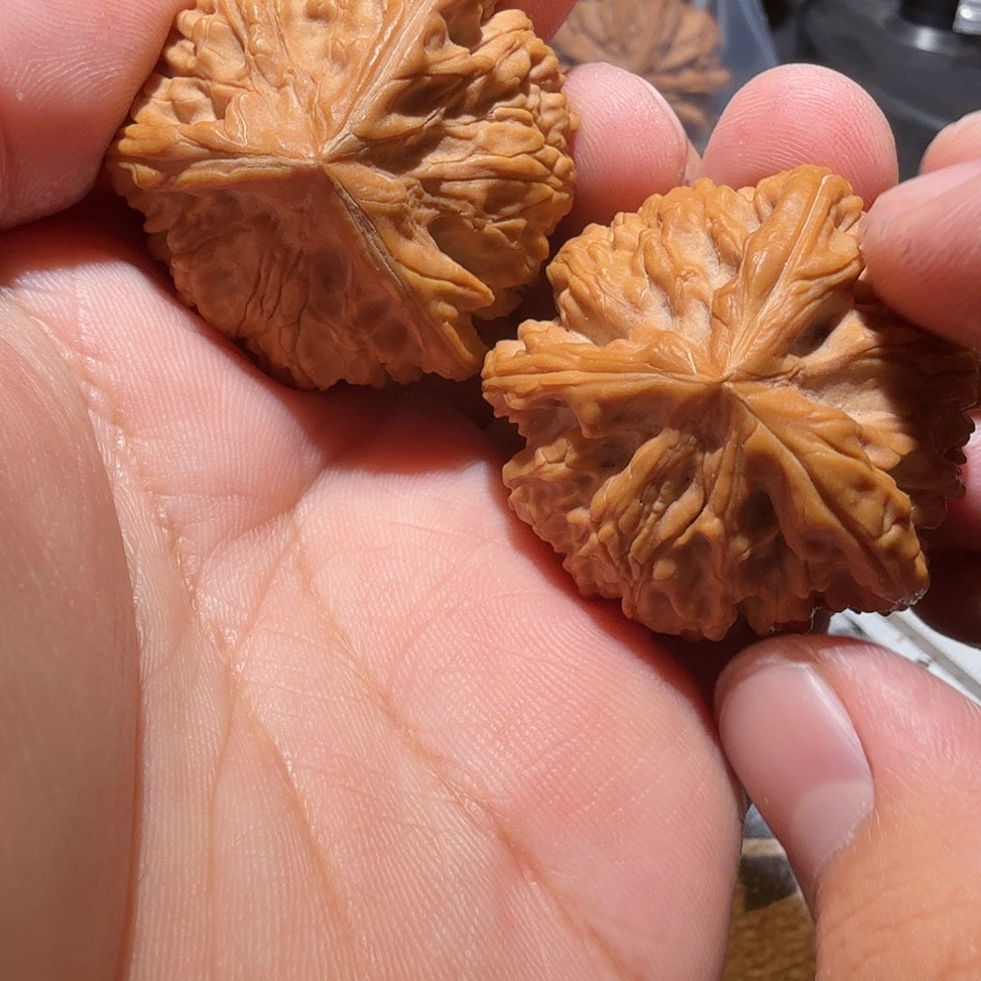 文玩核桃吊坠艾**年御龙正奔