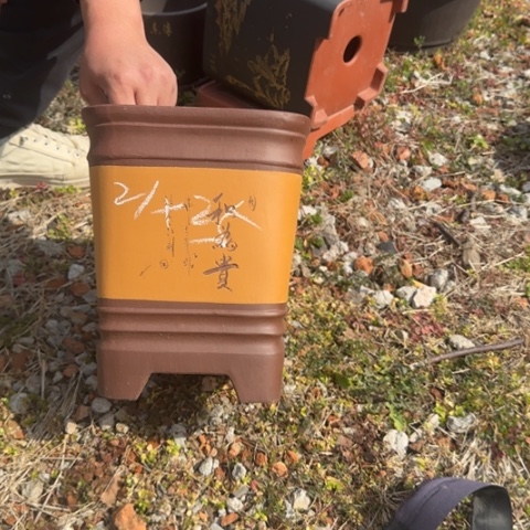 红陶紫砂花盆盆景盆栽